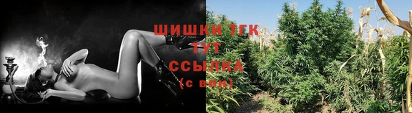 шишки Баксан
