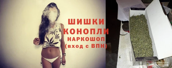 шишки Баксан