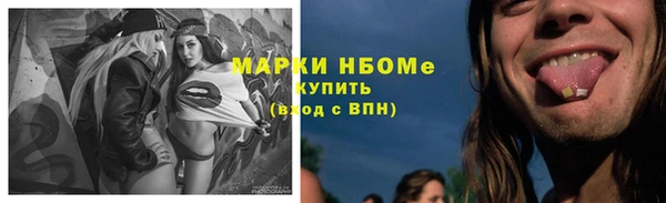 шишки Балабаново
