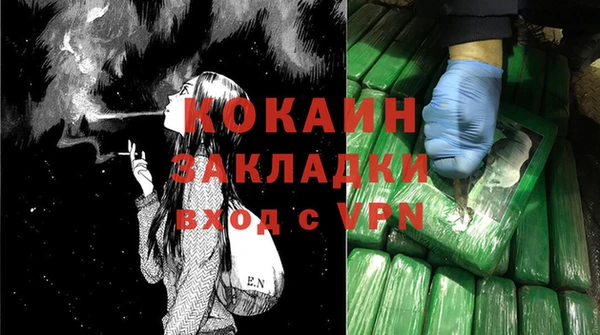 шишки Баксан