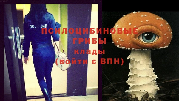 шишки Баксан