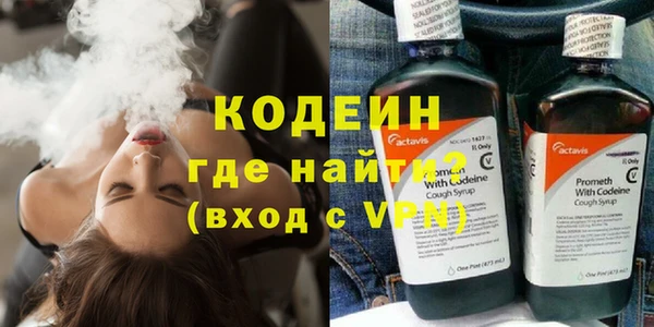 крисы Лагань