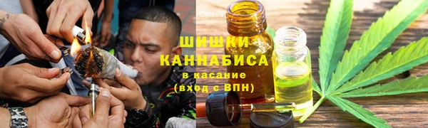 стаф Ладушкин